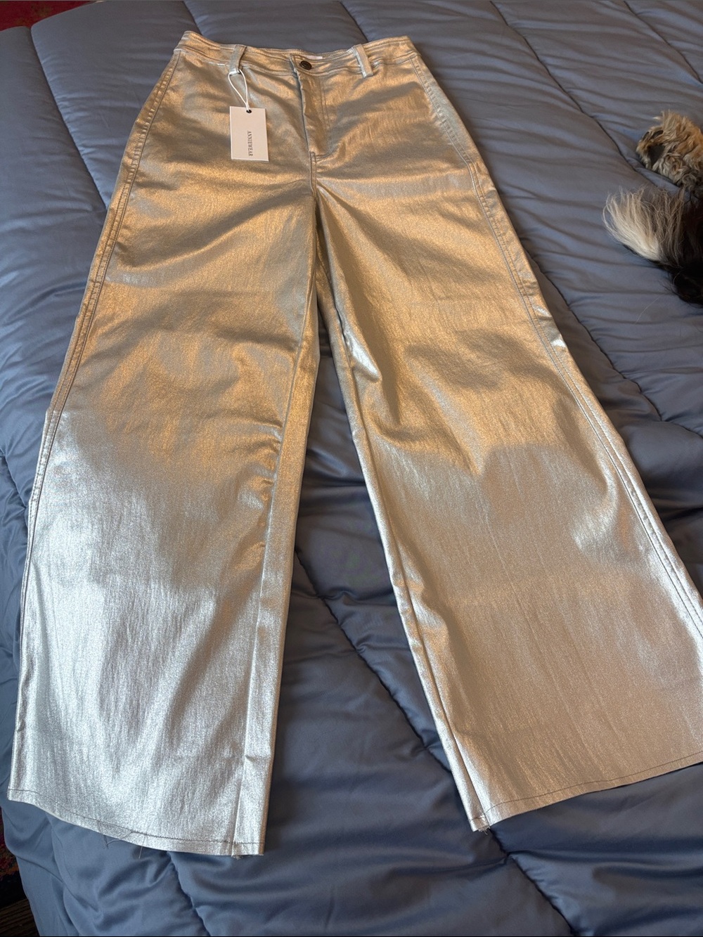 Metallic Wide-Leg Pants in Silver